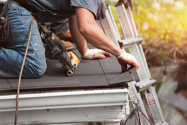 Best Storm Damage Roof Repair  in Anniston, AL